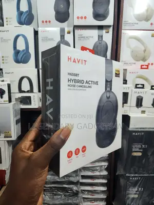 Havit H655bt Hybrid Active Headset