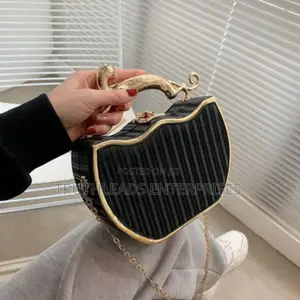 Luxury Metal Box Flap Handbag for Ladies.