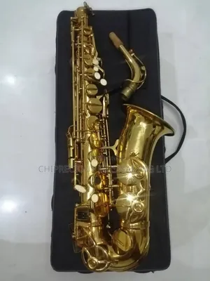 Photo - Xinghai Alto Saxophone