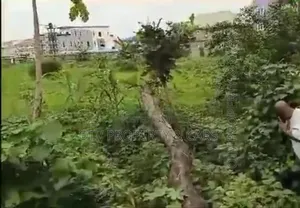 1 Acre Of Land (6 Plots)For Sale At Sabo / Yaba