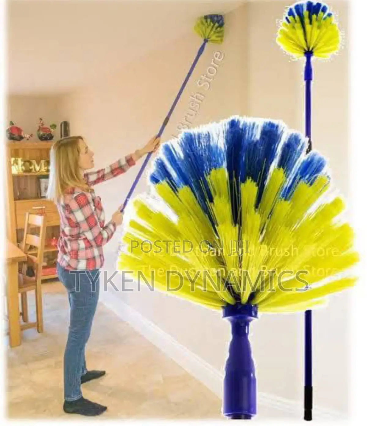 Telescopic Cobweb Cleaner