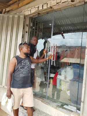 Frameless Double Leaves Swing Door 2