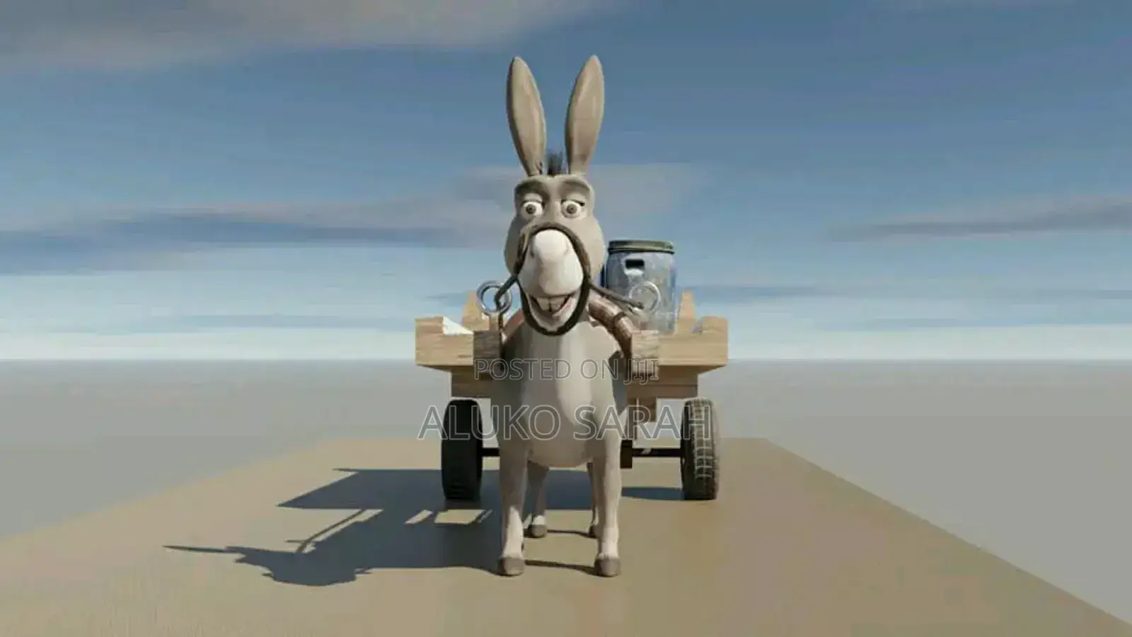 Content Creation With Animations
