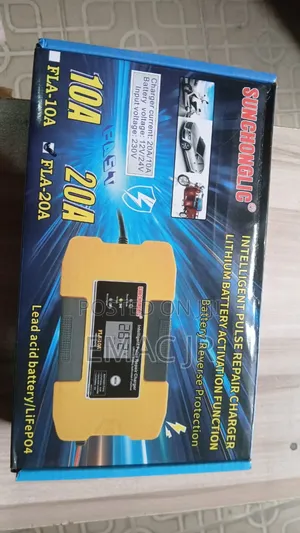 Sunchonglic Intelligent Pulse Repair Charger, 12v/24v