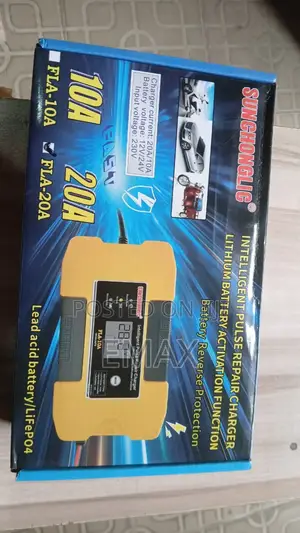 Sunchonglic Intelligent Pulse Repair Charger, 12v/24v