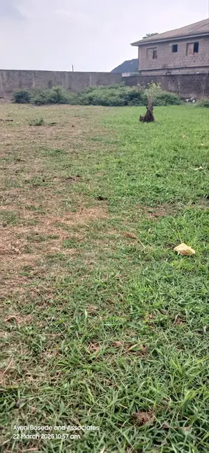 Land for Sale