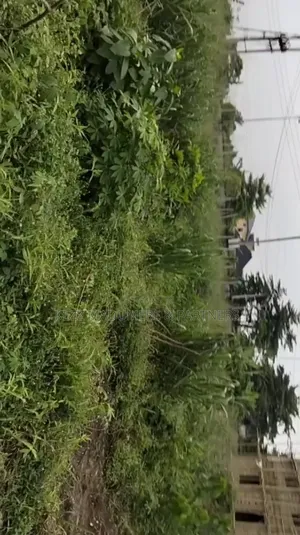 For Sale: 560 SQMTS at Nafbase Harmony Estate Eliozu Ph