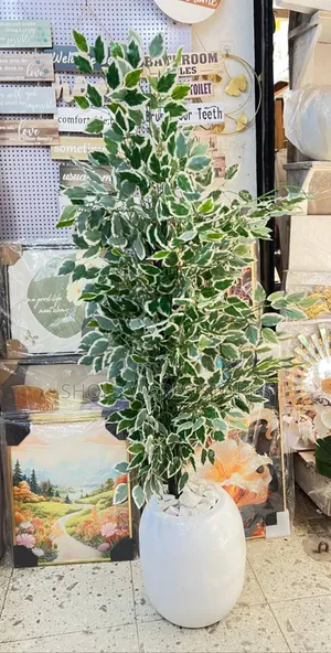 Indoor/Outdoor Fibre Vase and Plant