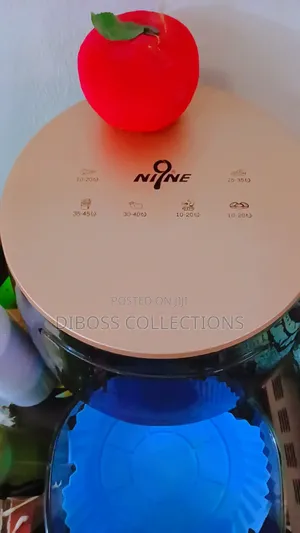 Extra Large Capacity Airfryer