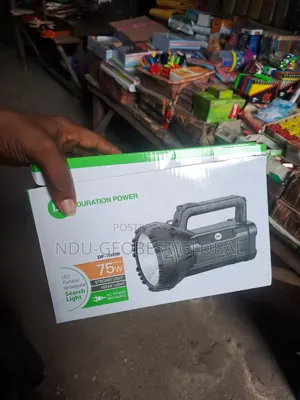 Hand Led Torch Light