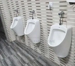 Wall Hung Urinary Bowl With Flushing Tap
