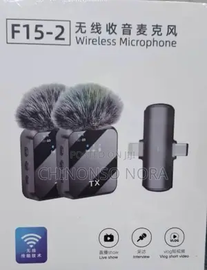 Photo - Wireless Microphone