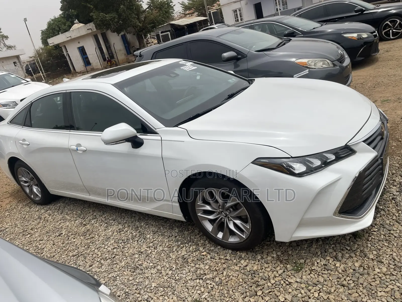 Toyota Avalon Limited 2020 White