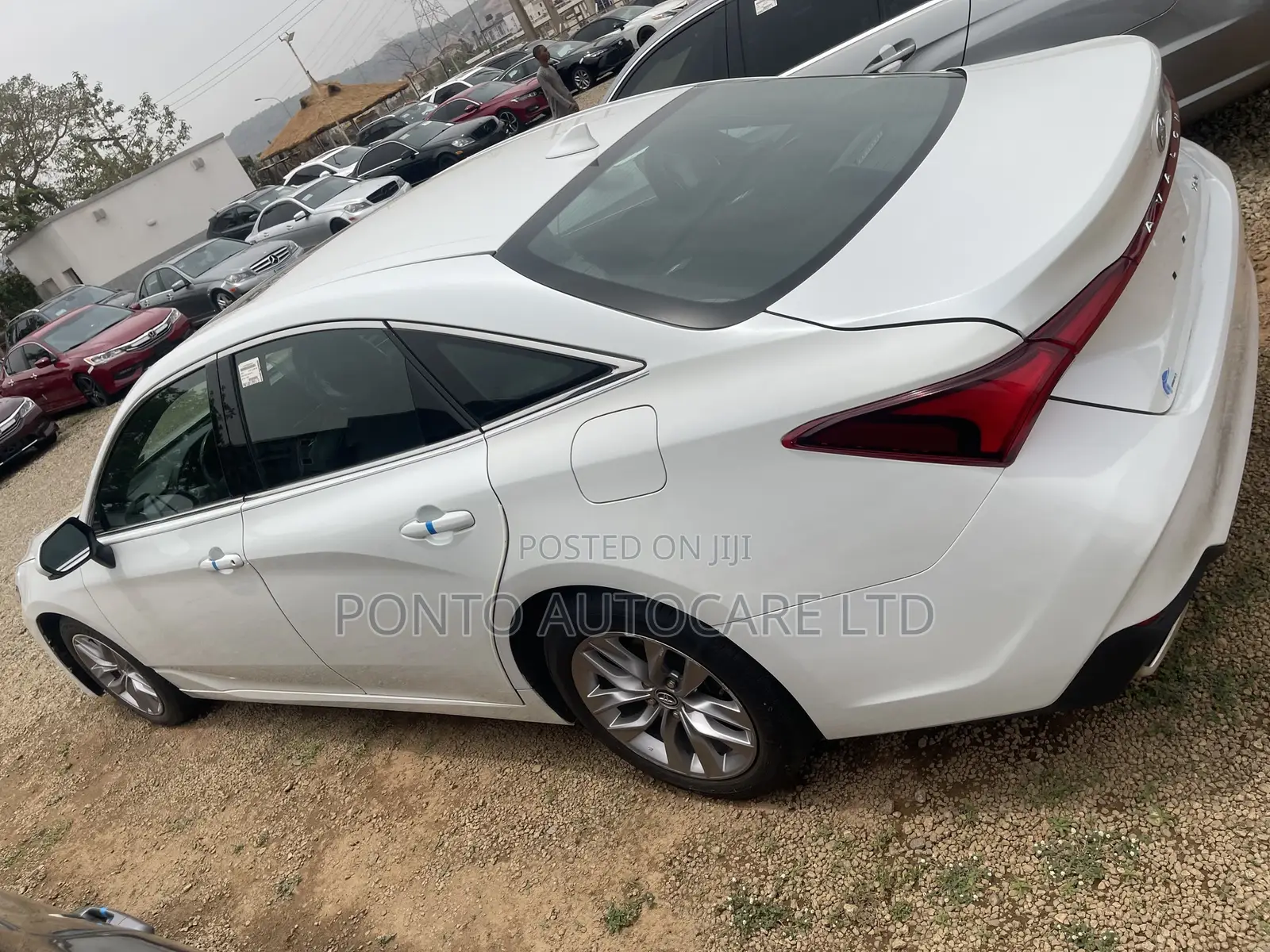 Toyota Avalon Limited 2020 White