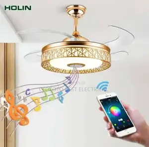 Gold and Black Available With Remote Control