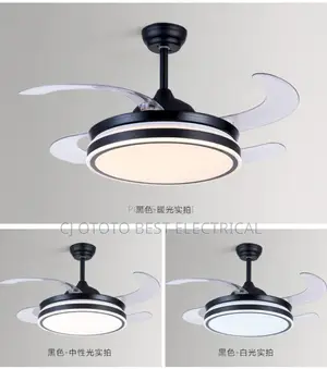 Fan Chandelier Light