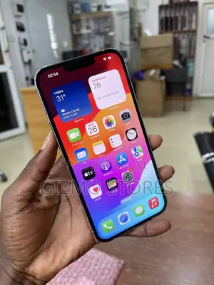 Apple iPhone 13 Pro Max 256 GB Silver