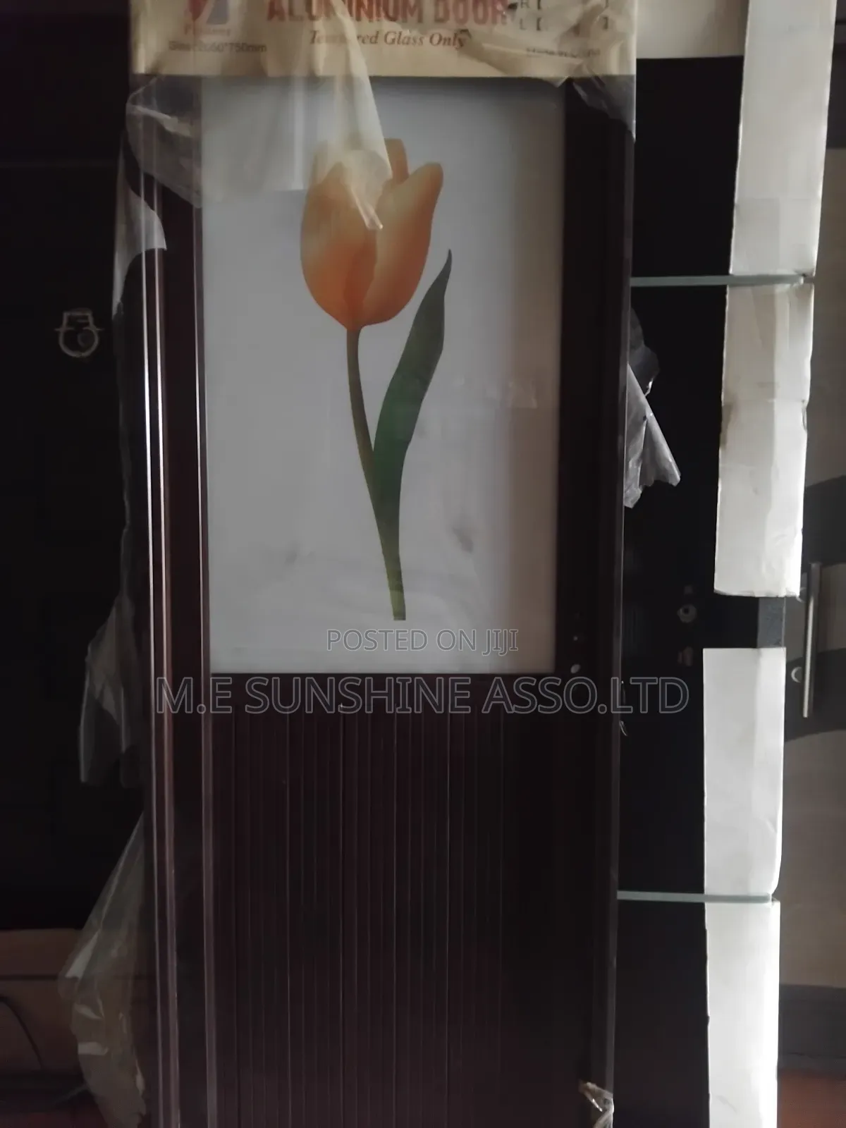 Glass Toilet Door