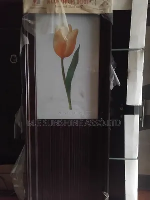 Glass Toilet Door