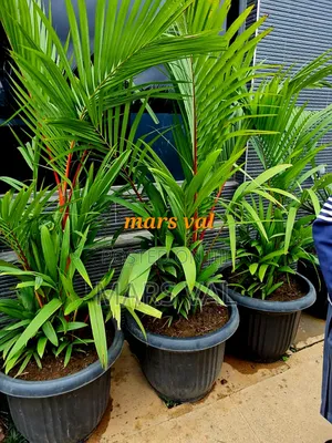 Landscaping and Horticulture
