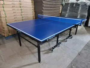 Outdoor Table Tennis