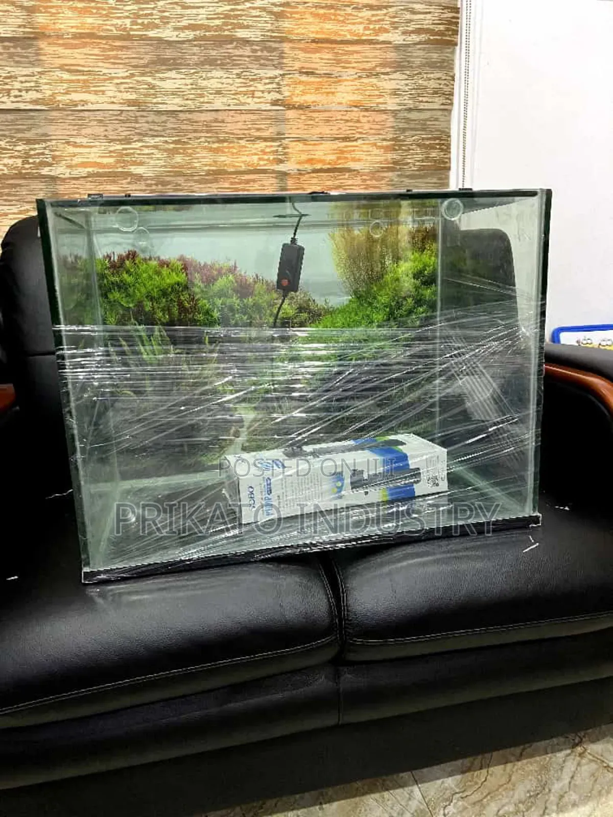 Aquarium Tank Installation and Fishes