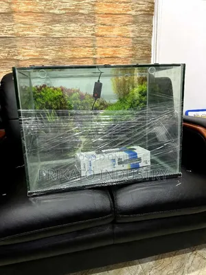 Aquarium Tank Installation and Fishes