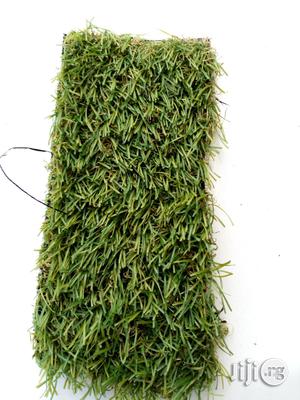 Rug Capet Grass Field