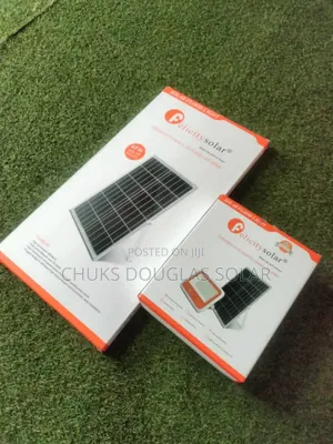 150w Felicity Flood Light