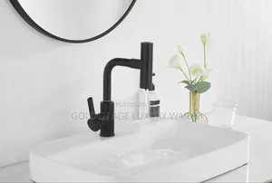 C60 Multi Function Basin N Mixer