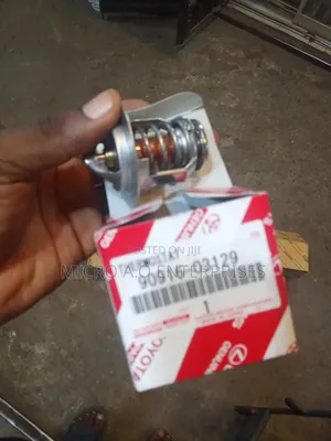 Thermostat Hilander