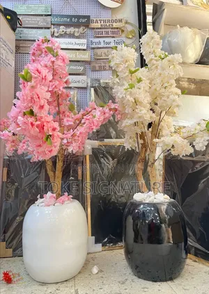 Cherry Blossoms Flowers and Pots