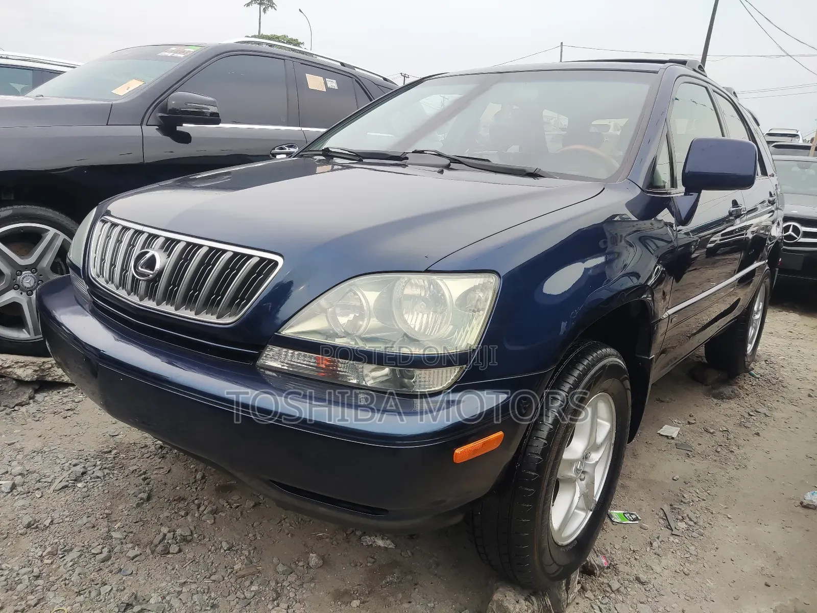 Lexus RX 2003 Blue