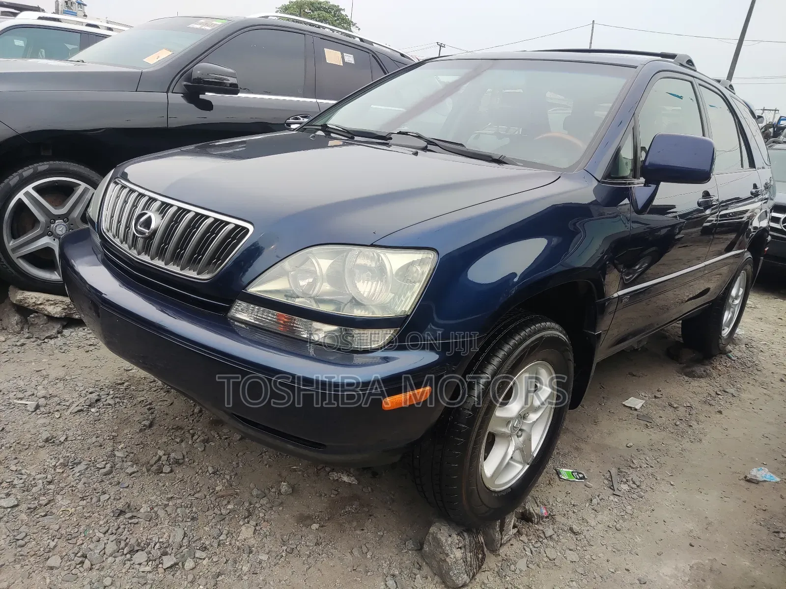 Lexus RX 2003 Blue