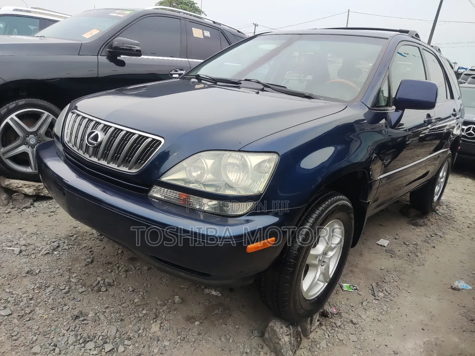 Lexus RX 2003 Blue