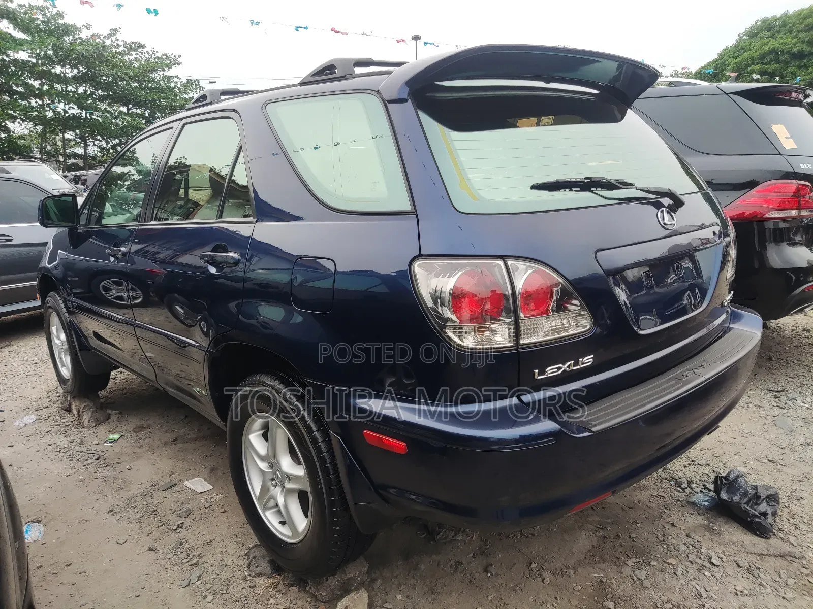 Lexus RX 2003 Blue
