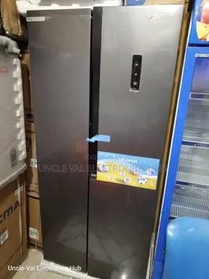 Skyrun Inverter Side by Side Fridge