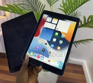 Apple iPad Air 2 16 GB Gray