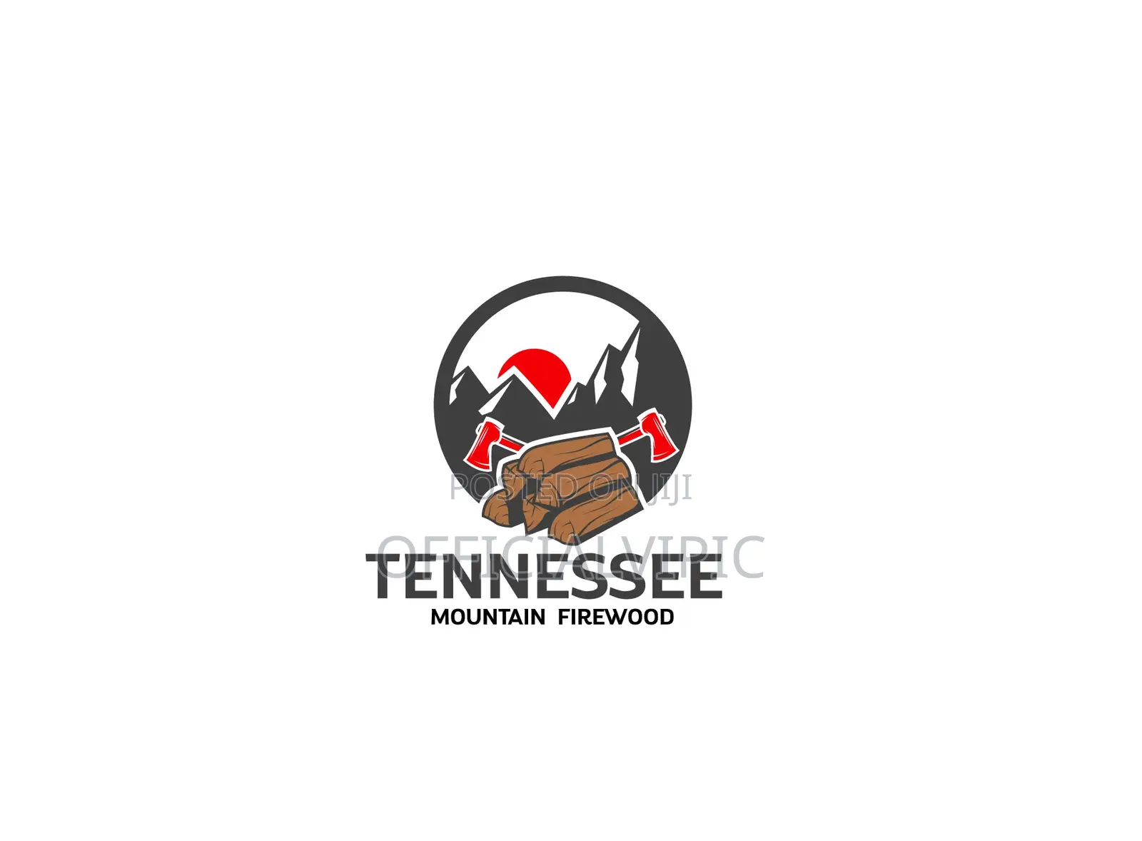 Logo Design for Business or Company