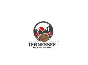 Logo Design for Business or Company