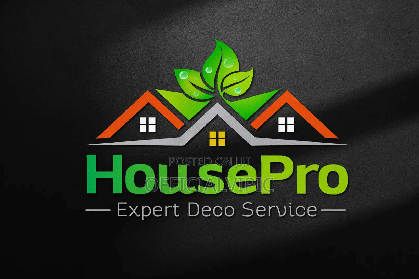 Logo Design for Business or Company
