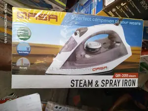 Photo - Qasa Steam Spray Iron