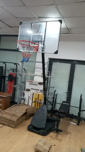 High Standard Basketball Stand { Bb777}