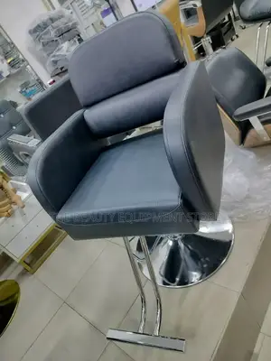 Salon Stylish Chair