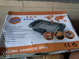 Electric Barbecue Grill
