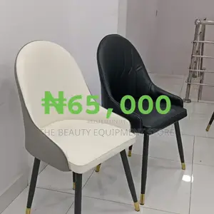 Salon Stool