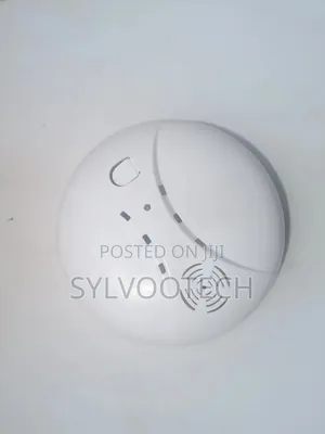 Smoke Detector Alarm