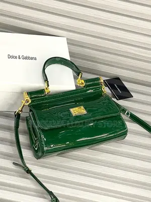 Dolce and Gabbana Luxury Quality Female Hand Bags