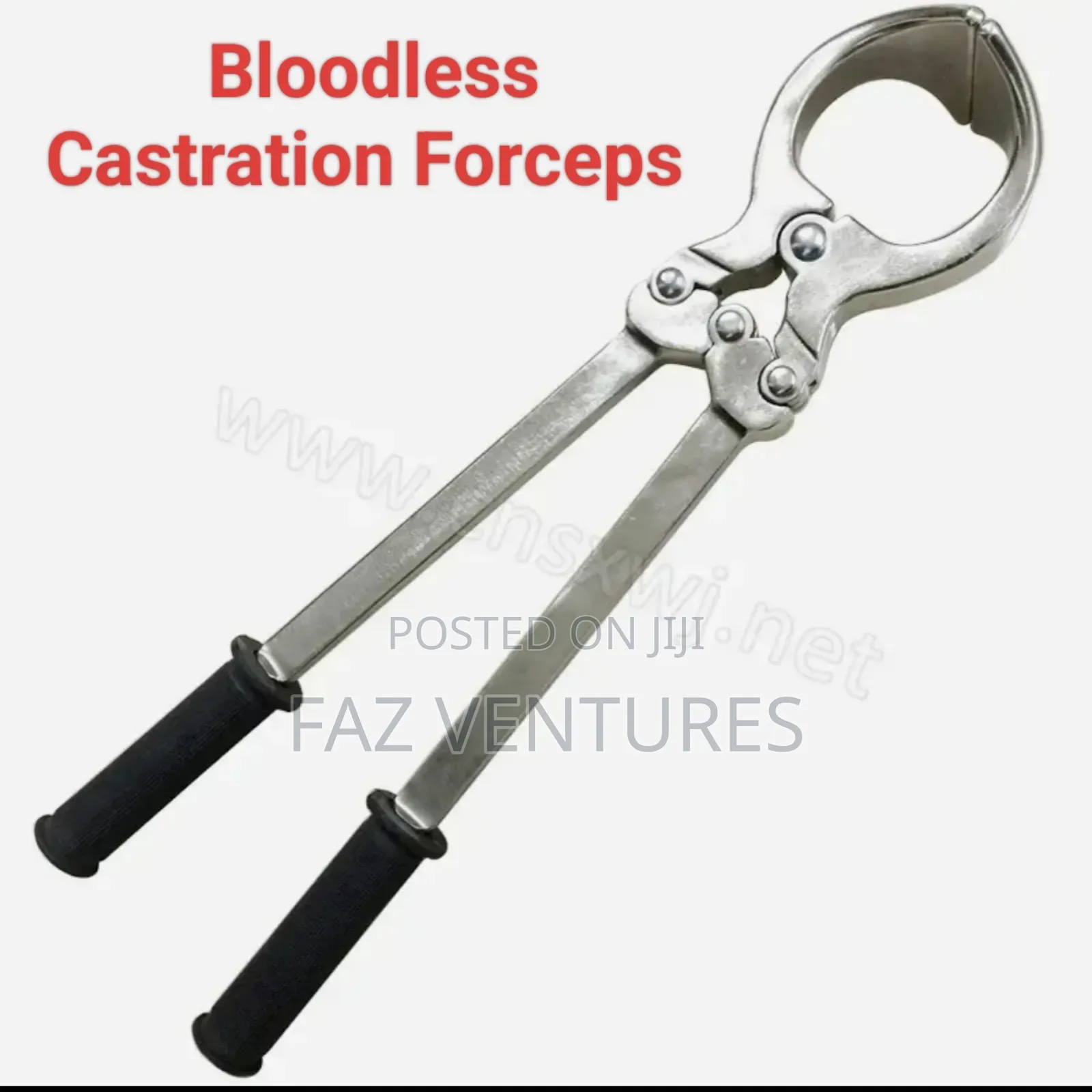 Burdizzo Castration Forceps