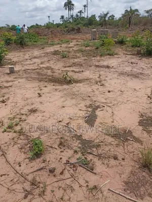 Land for Sale in Ogbaku Owerri (Instant Allocation)
